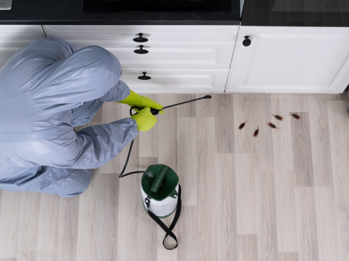 Exterminator Services