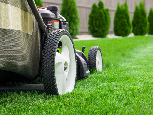 Professional Lawn Care Services